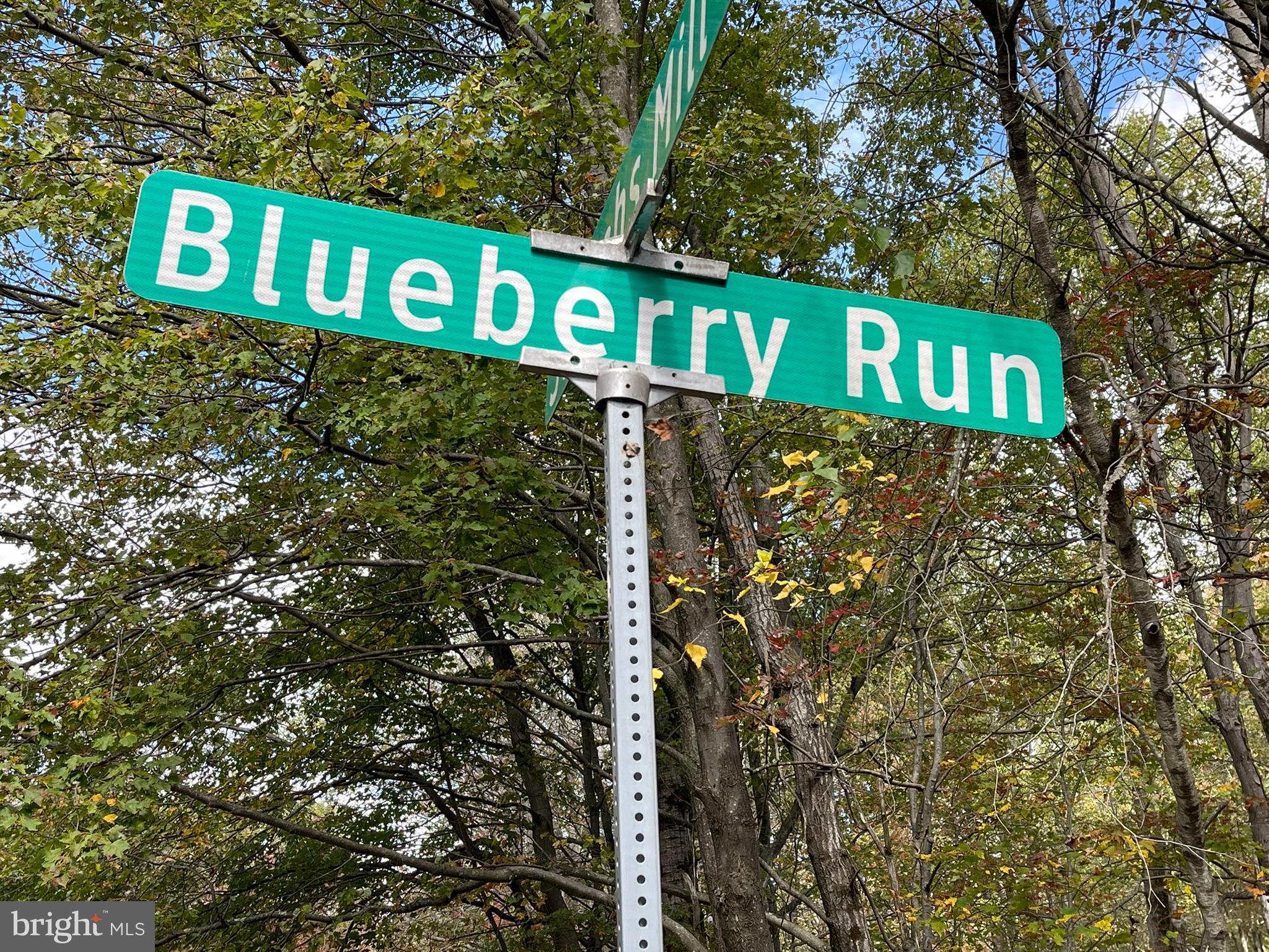 Lot 52 Blueberry Run Blakeslee, PA 18610 - Photo 4 of 13 a street sign that is on a pole
