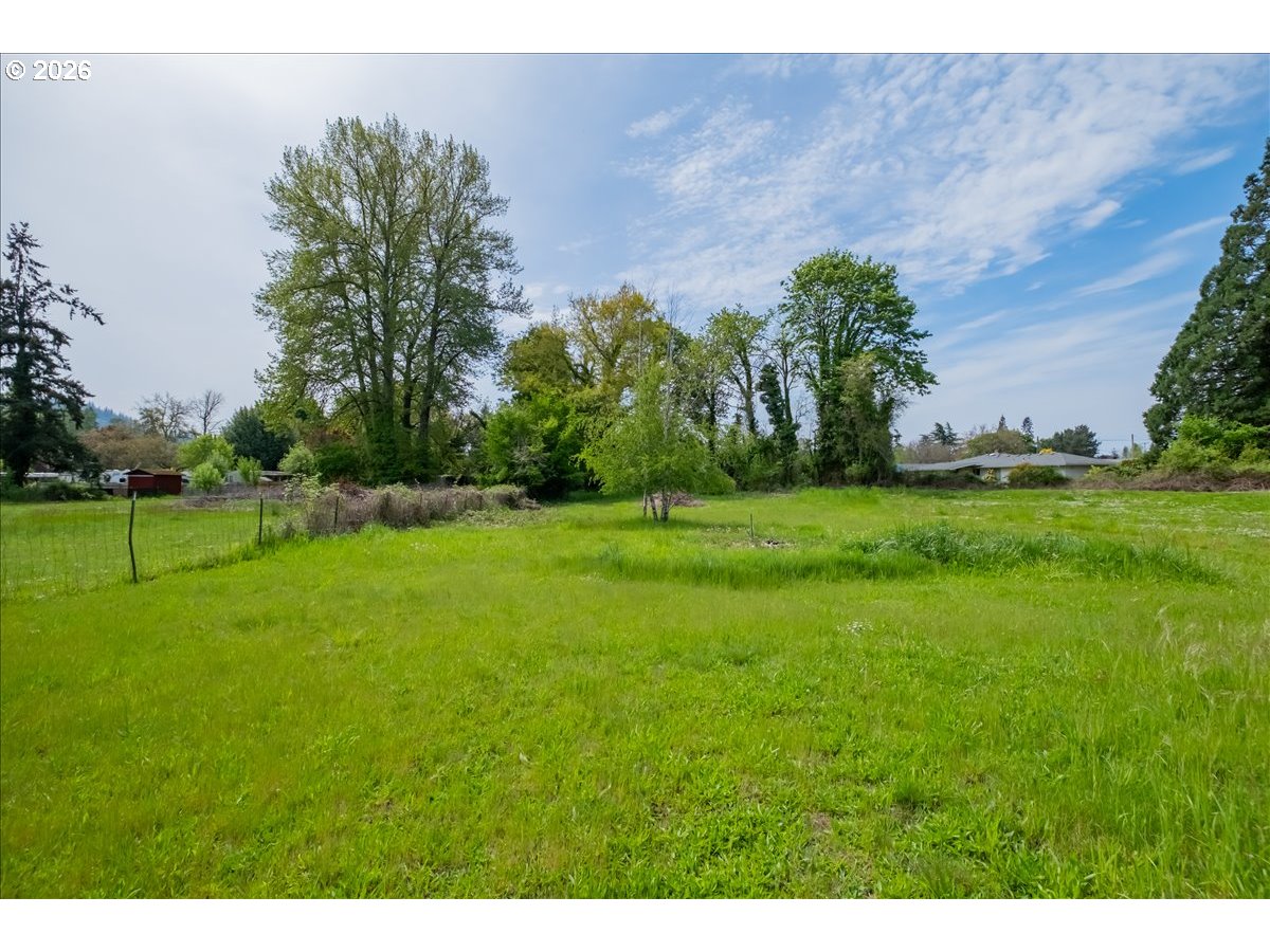 32973 Tennessee Road Southeast Lebanon, OR 97355 - Photo 31 of 36 a backyard of a house with lots of green space