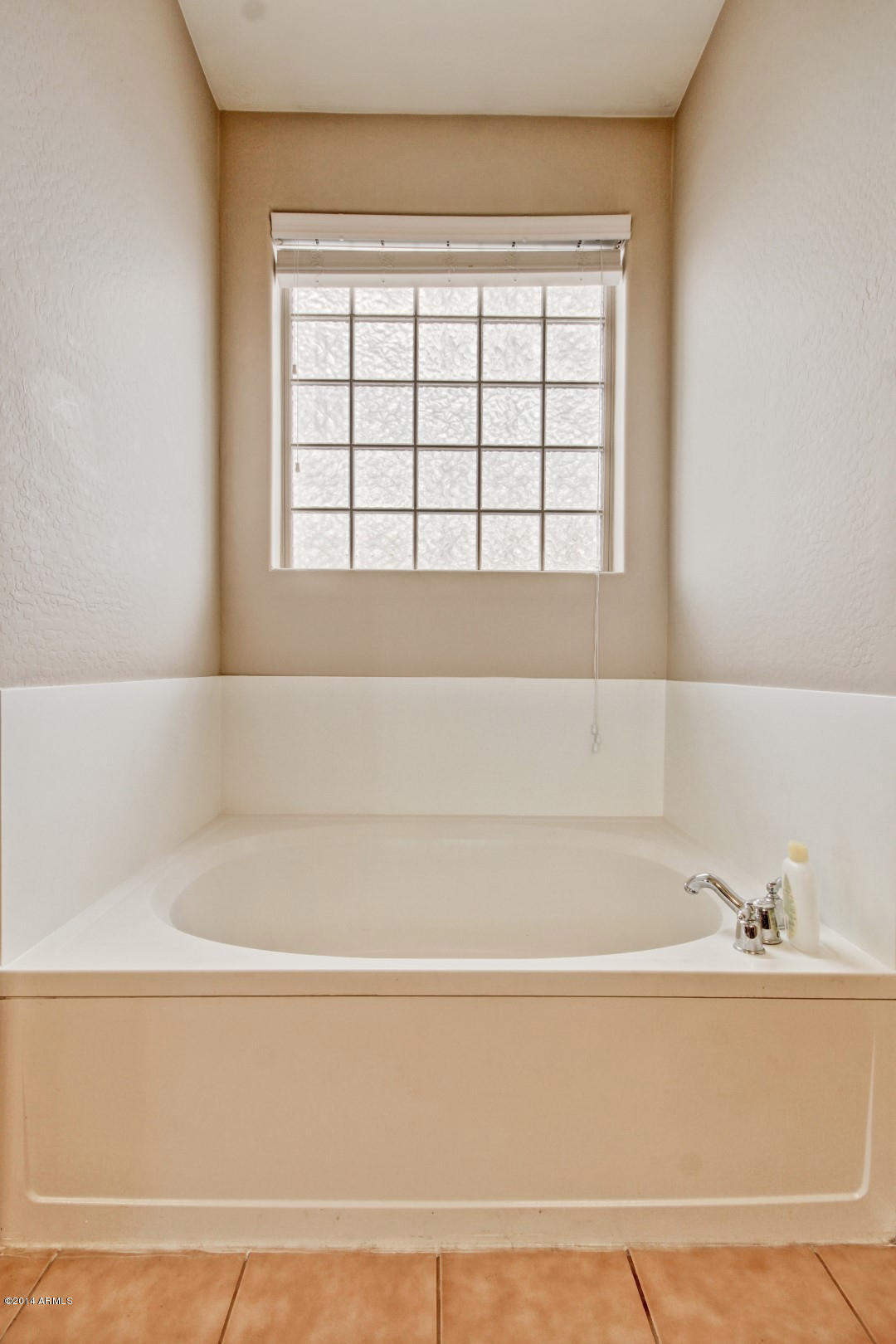 7223 West Carter Road Laveen, AZ 85339 - Photo 43 of 66 MASTER TUB
