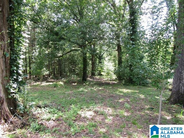 1091 County Road 59 Roanoke, AL 36274 - Photo 22 of 24