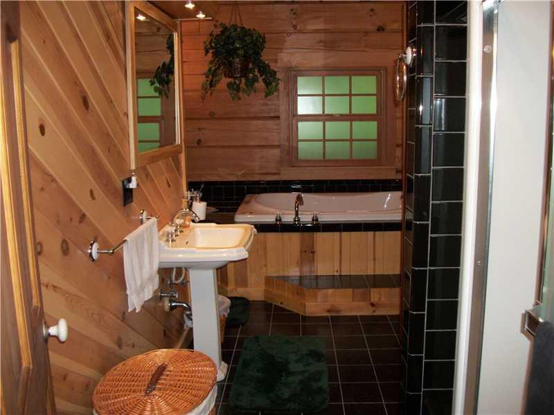 1347 Mount Morris Road Waynesburg, PA 15370 - Photo 7 of 11 Master Bath/Spa.