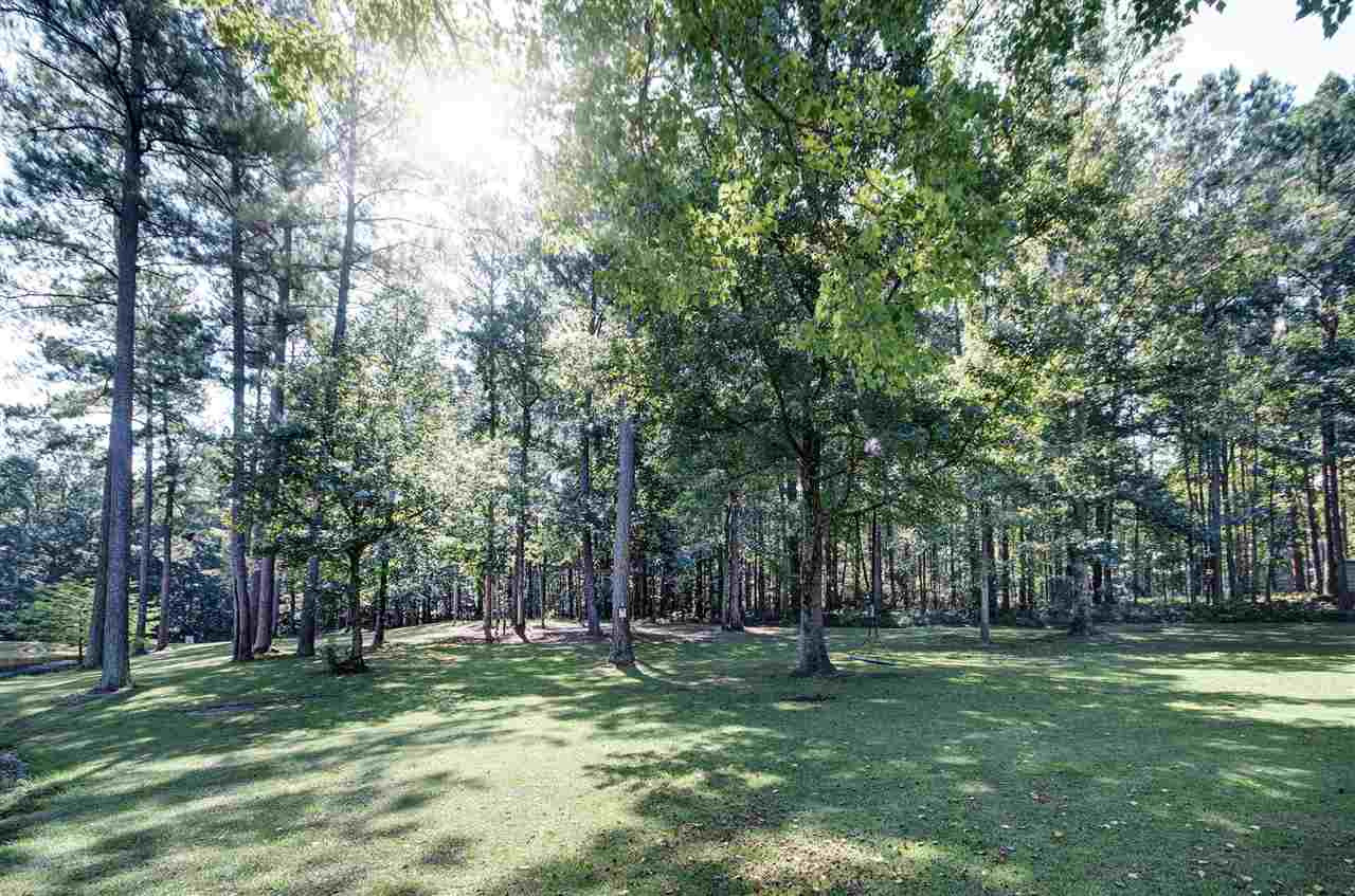 295 Conerly Road Braxton, MS 39044 - Photo 8 of 47 Photo 8