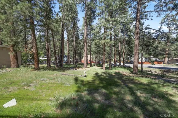 a view of outdoor space with trees