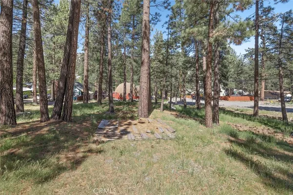 a backyard of a house with lots of green space and trees