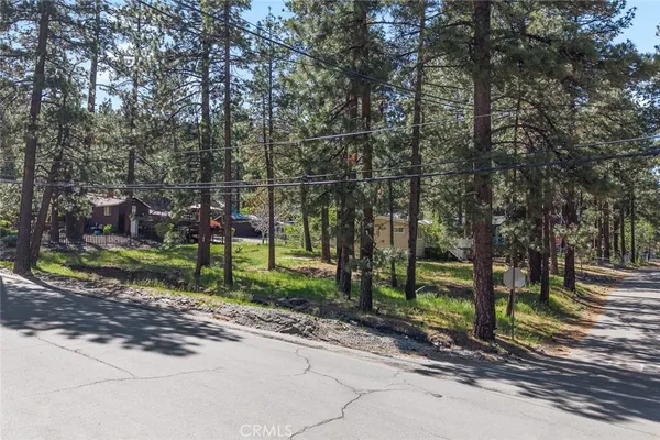 a view of a park with large trees