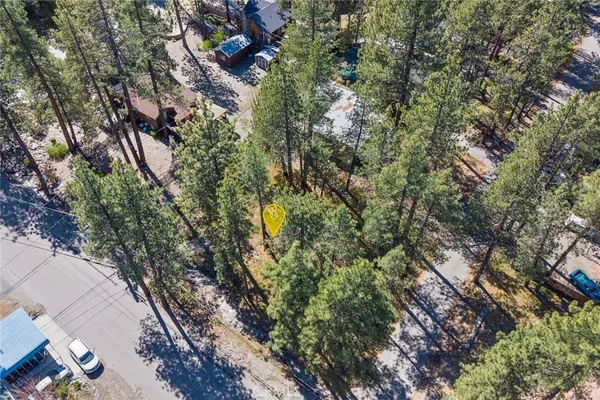 a view of a tree in a yard