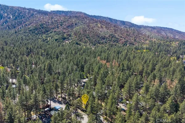 a view of a lush green forest with mountains in the background