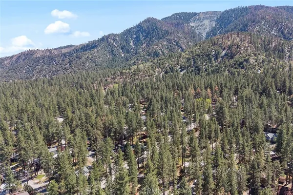 a view of a house with a mountain and a forest