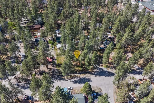 a view of a city with lush green forest