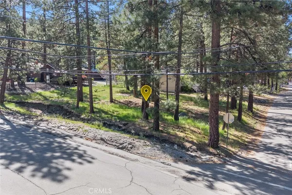 a view of a park with large trees