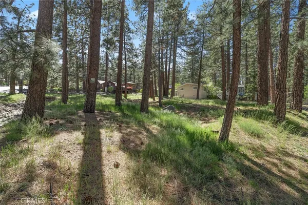 a big yard with lots of green space and trees