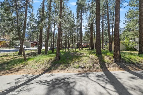 a view of a park that has large trees