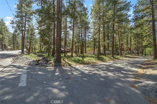 a view of a road with trees