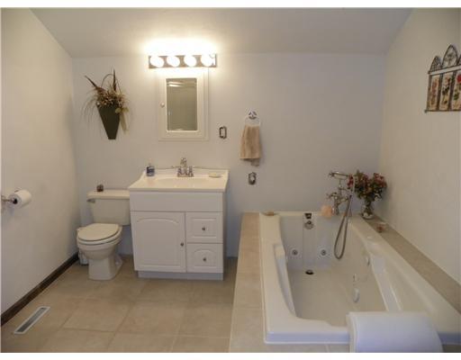 216 Hellein School Road Acme, PA 15610 - Photo 10 of 18 Master Bath/Spa. The master bath features both a shower and jet spray tub.