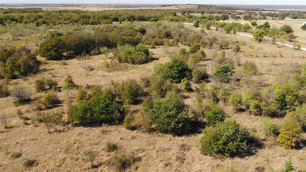 4 County Road Mexia, TX 76667 - Photo 10 of 33 a view of a yard with a sink