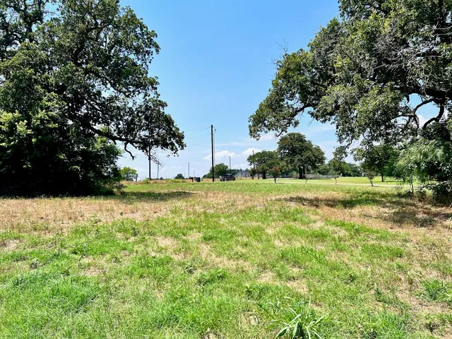 a view of a field with grass and trees