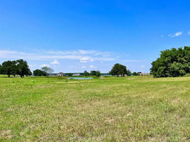 a view of a grassy field with trees