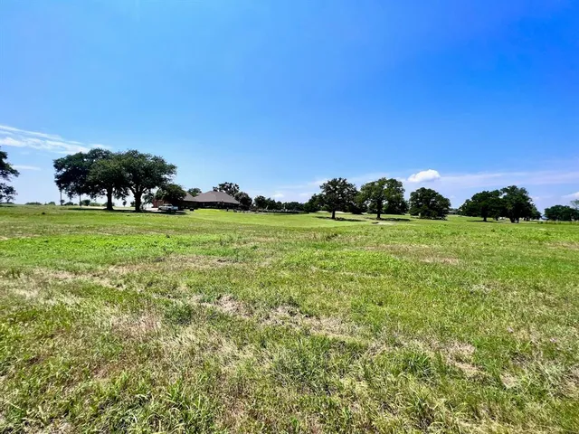 a view of grassy field with grassy field