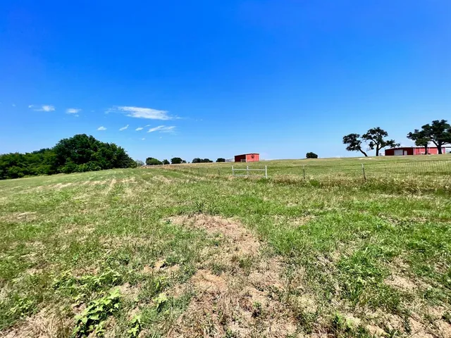 a view of a large trees with an ocean