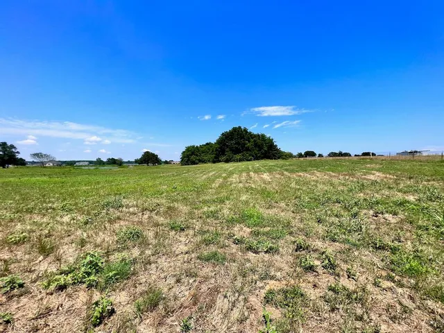 a view of a field with an trees in the background