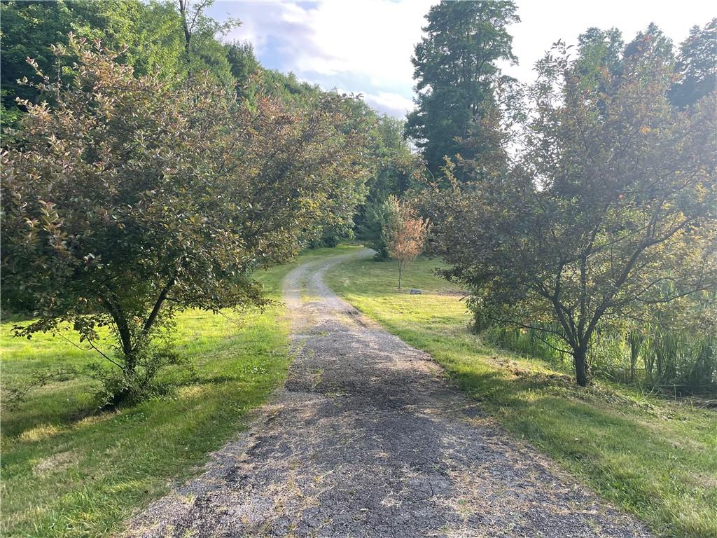 1784 Butler Pike Mercer, PA 16137 - Photo 1 of 25 a view of a yard with swimming pool