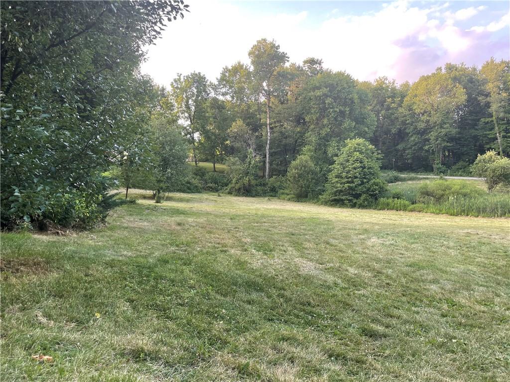1784 Butler Pike Mercer, PA 16137 - Photo 8 of 25 a view of outdoor space with trees all around