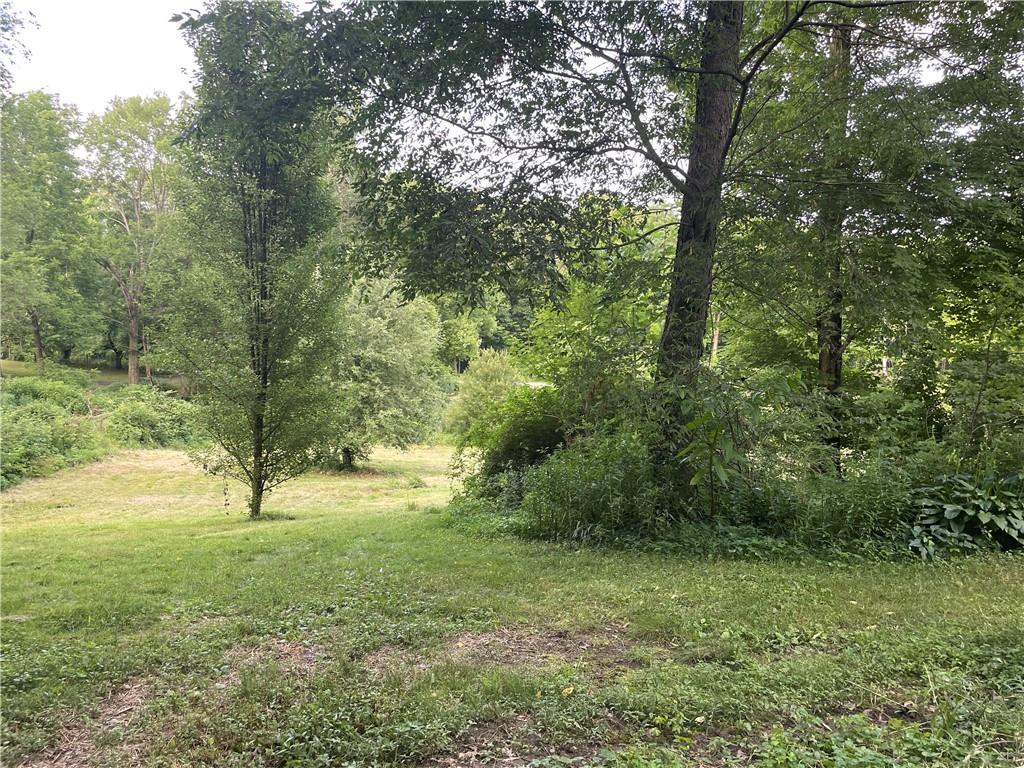 1784 Butler Pike Mercer, PA 16137 - Photo 10 of 25 a big yard with lots of green space and trees