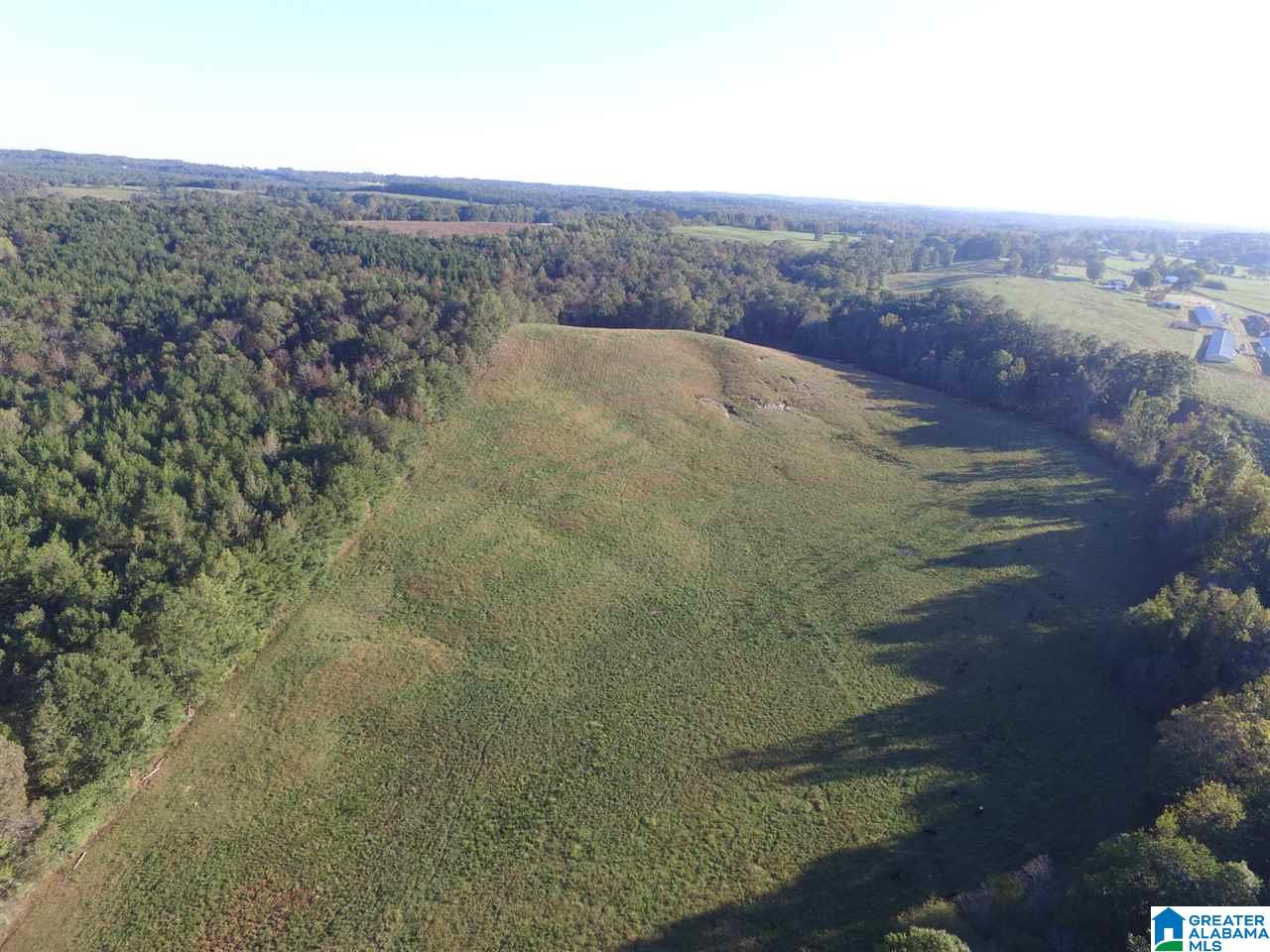 936 Daileys Chapel Road Oneonta, AL 35121 - Photo 35 of 36