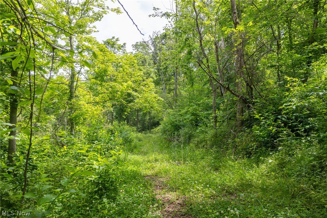 Kinnen Road Caldwell, OH 43724 - Photo 17 of 37