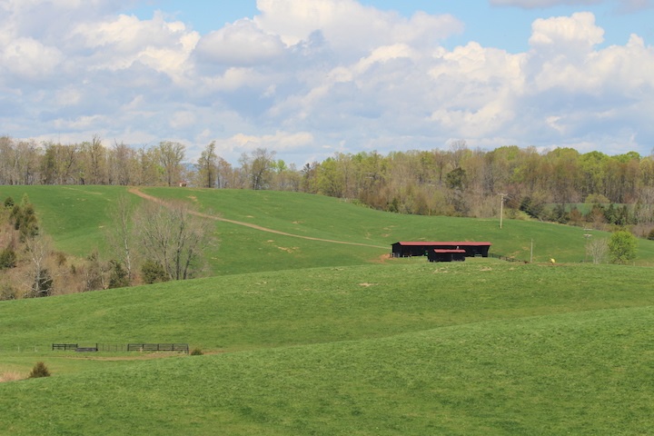 0 South Blue Ridge Turnpike Rochelle, VA 22738 - Photo 11 of 32 Gallery Image 11