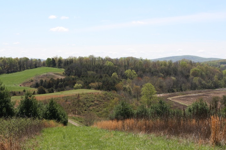 0 South Blue Ridge Turnpike Rochelle, VA 22738 - Photo 14 of 32 Gallery Image 14