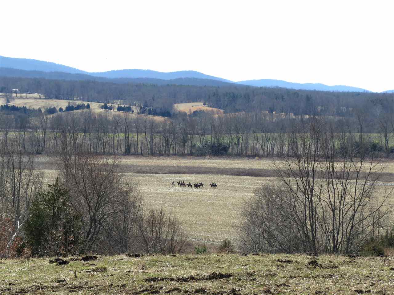 0 South Blue Ridge Turnpike Rochelle, VA 22738 - Photo 30 of 32 Gallery Image 30