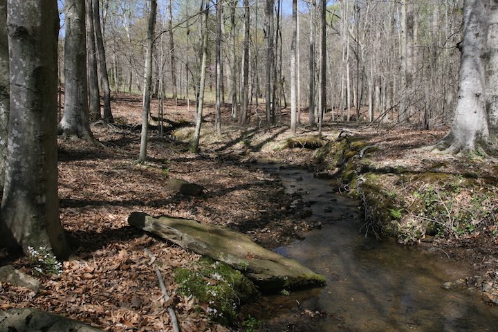 0 South Blue Ridge Turnpike Rochelle, VA 22738 - Photo 31 of 32 Gallery Image 31