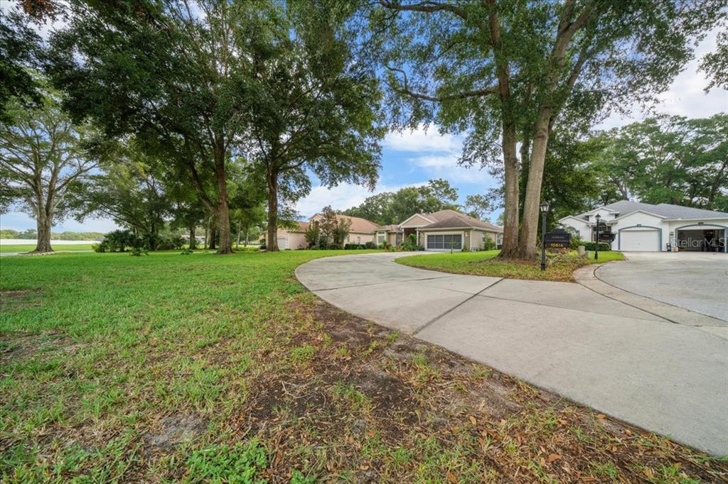 10614 Southwest 71st Terrace Road Ocala, FL 34476 - Photo 2 of 21 a view of a park with large trees
