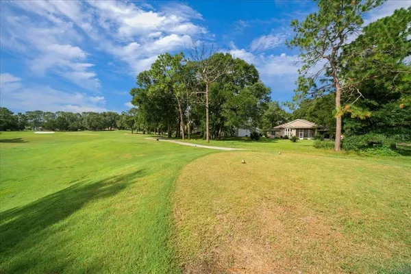 a view of a field with a tree in the background