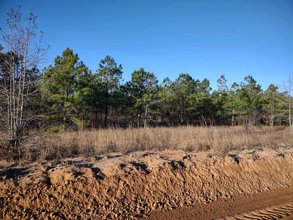 0 Henry Currington Road Mauk, GA 31058 - Photo 1 of 3 Main View