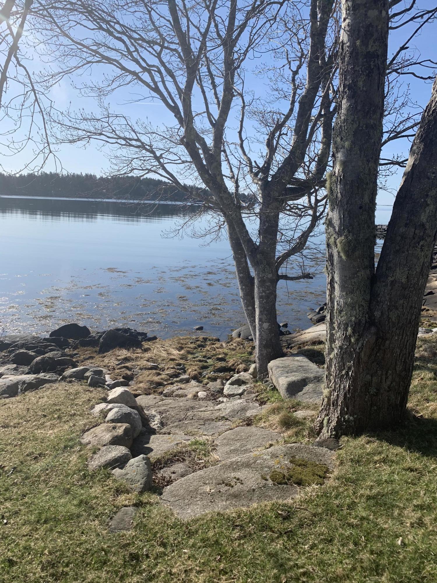 82 Patten Point Road St. George, ME 04859 - Photo 10 of 27 IMG_2648