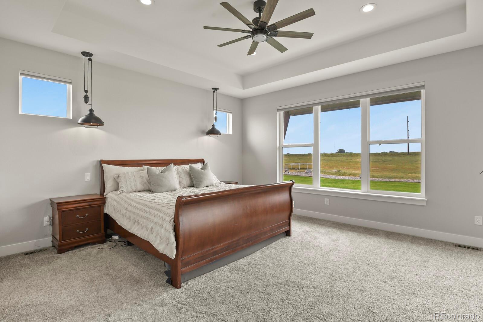11617 Harpenden Court Fort Lupton, CO 80621 - Photo 20 of 50 a living room with a bed furniture and a large window
