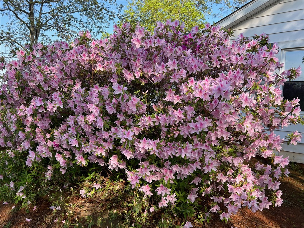 1739 Coffee Road Westminster, SC 29693 - Photo 20 of 26 Gallery Image 20