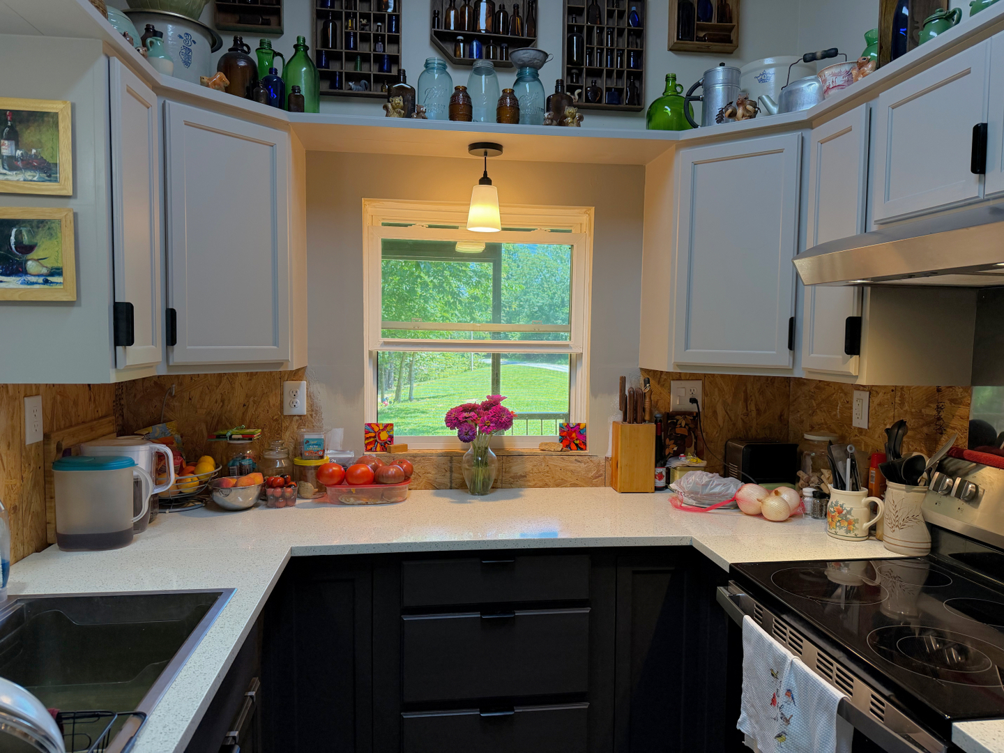 1040 Baker Hill Road Cobden, IL 62920 - Photo 7 of 20