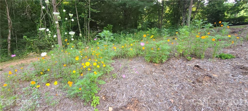 110 Ryan Cove Road Fletcher, NC 28732 - Photo 28 of 31 Gallery Image 28