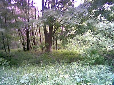 2250 Riverside Road Benton Harbor, MI 49022 - Photo 1 of 1 Primary Photo