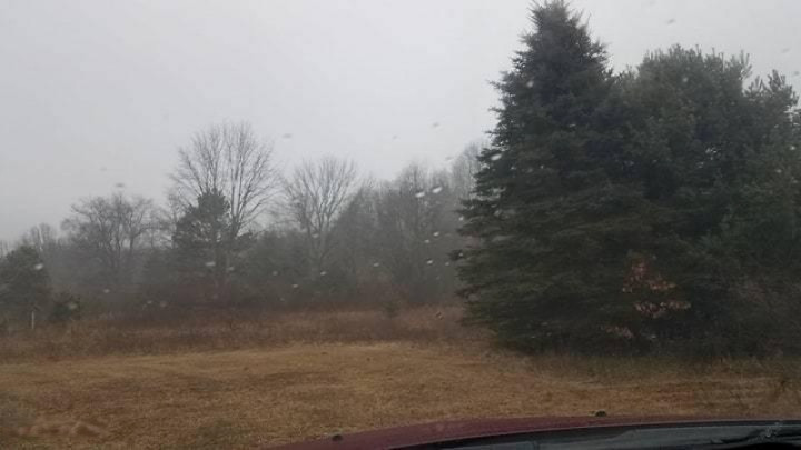 0 Monroe Road Morley, MI 49336 - Photo 4 of 11 10