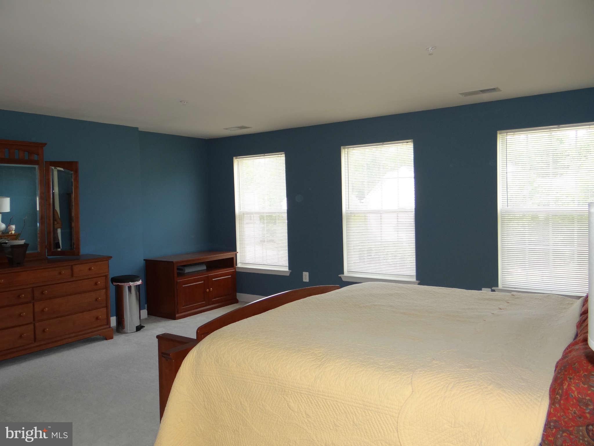 8809 Sumner Grove Drive Laurel, MD 20708 - Photo 17 of 30 Bedroom (Master) view #2