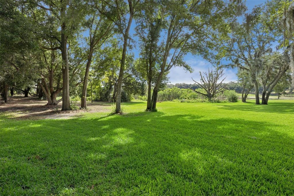 605 Old Mt Dora Road Eustis, FL 32726 - Photo 49 of 61