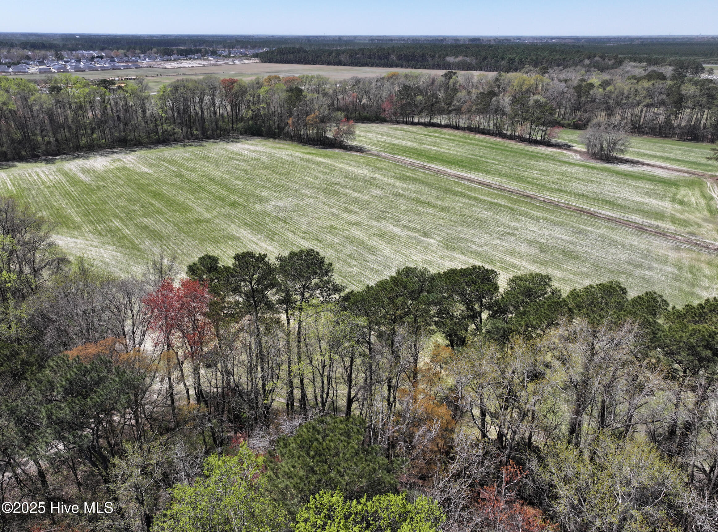 0 Allen Road Greenville, NC 27834 - Photo 5 of 8 47 Panorama-