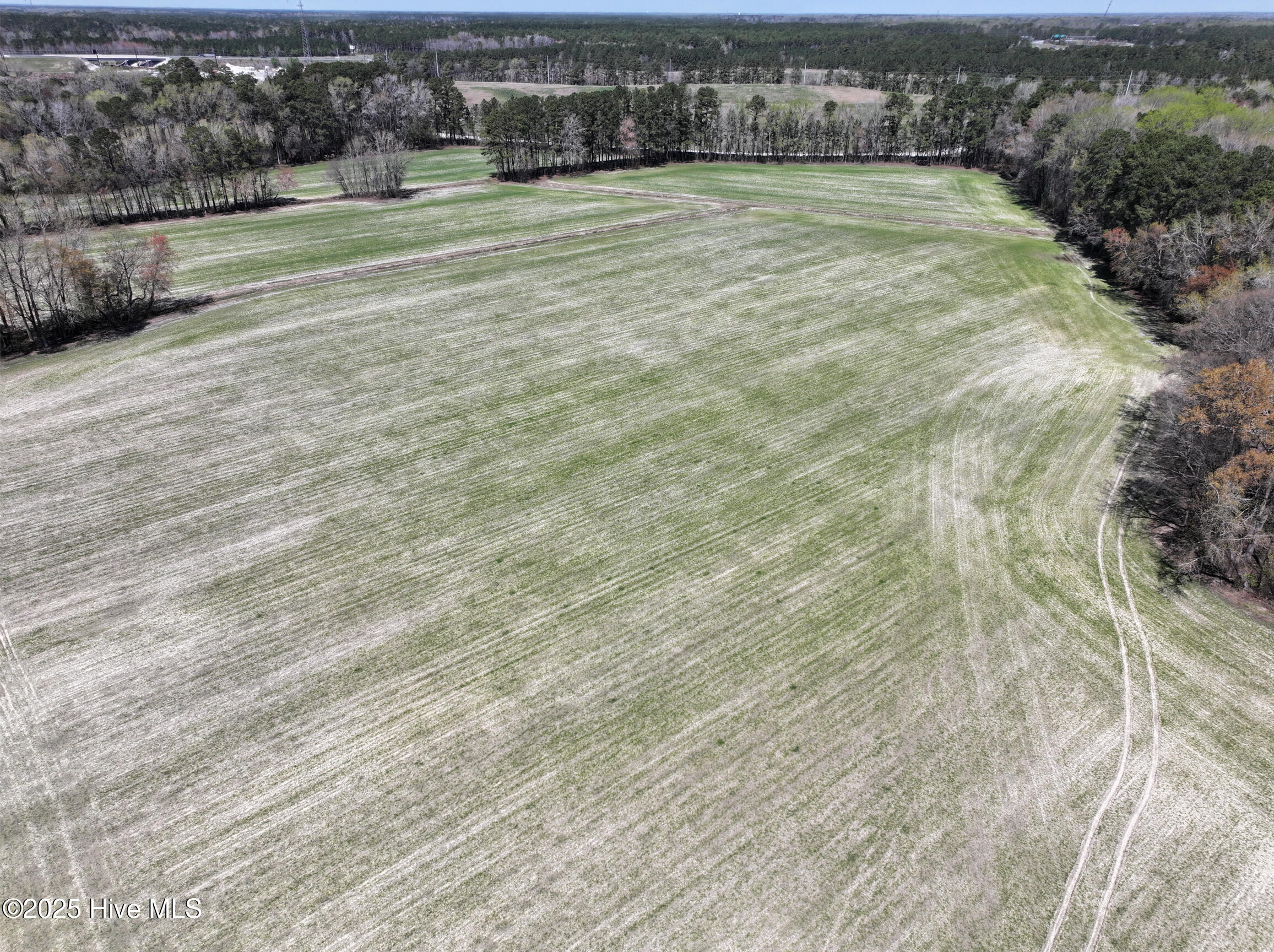 0 Allen Road Greenville, NC 27834 - Photo 6 of 8 46 Panorama-