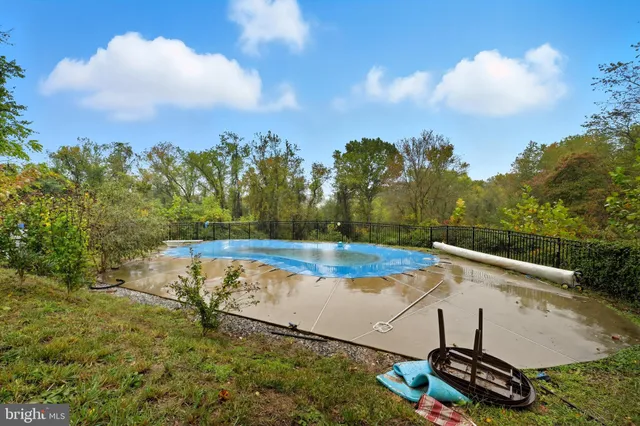 a view of a backyard with trees