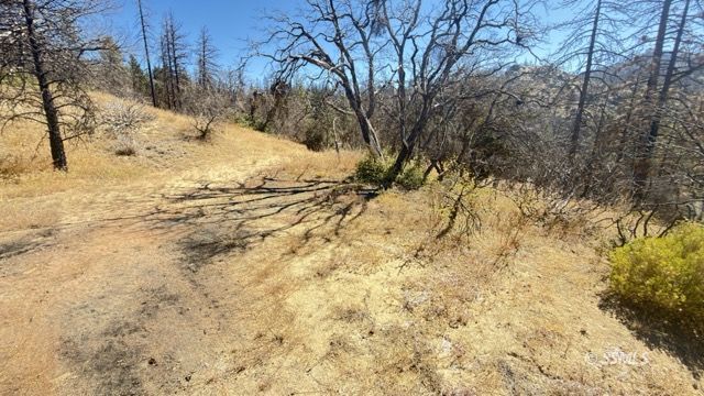 4351 Saddle Springs Road Caliente, CA 93518 - Photo 13 of 15 Gallery Image 13