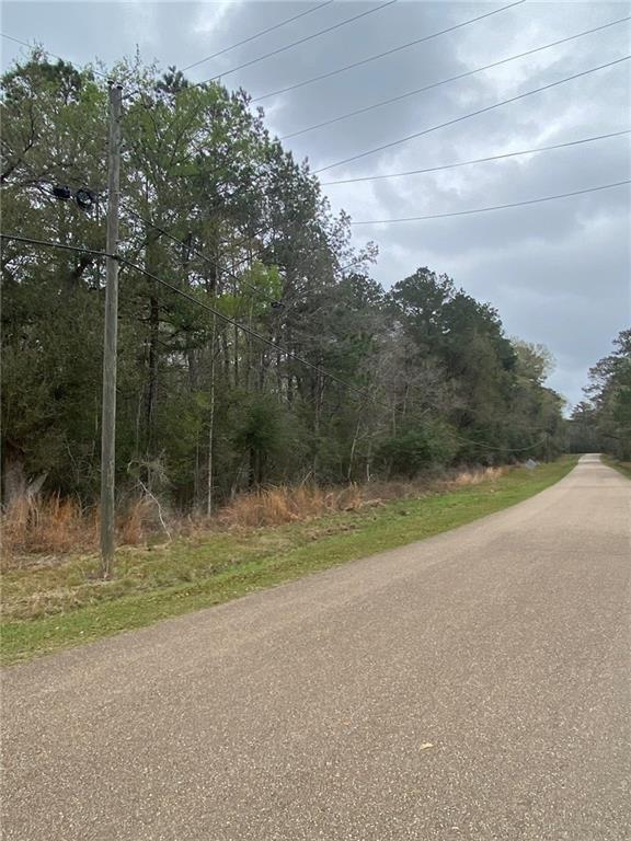 0 Birch Drive Folsom, LA 70437 - Photo 2 of 4